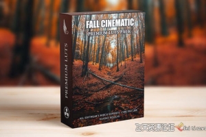 电影《忧郁的秋天》调色LUT预设Cinematic Moody Fall Autumn LUT