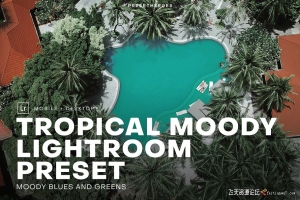 优雅情绪电影调色Lightroom预设 Tropical Moody Lightroom Preset