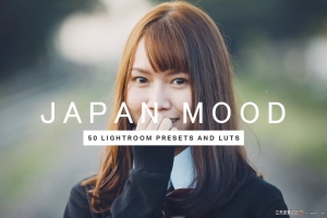 50个日系情绪人像LR预设及LUT预设50 Japan Mood Lightroom Presets LUTs