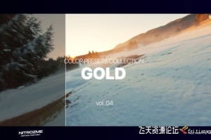 黄金时段电影视频调色LUT预设第04季 Gold LUT Collection Vol. 04