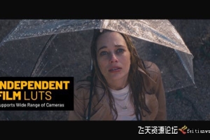 15个独立的电影视频调色LUT预设 Independent Film LUTs