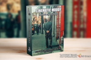 城市黑暗视频后期调色LUT预设包 Urban Moody Dark Cinematic LUTs
