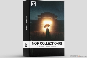 经典黑暗电影胶片Lightroom预设 Noir Collection 01 | Lightroom Presets