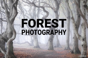 摄影师Mads Peter Iversen-掌握森林风光摄影及后期教程-中英字幕
