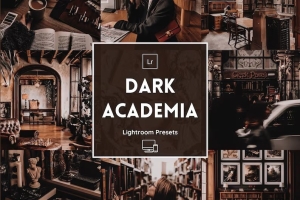 暗棕色电影胶片人像Lightroom预设 Dark Academia Lightroom Presets
