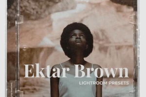 经典电影胶片Lightroom预设 Cinegrading - +Cine Ektar Brown Presets