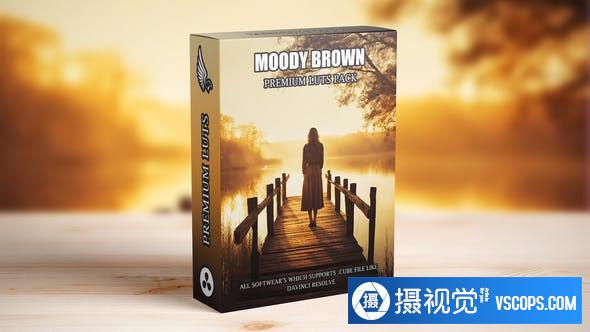 情绪电影布朗色调LUT预设 Cinematic Moody Brown Video Color Grading LUT