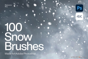 100个雪花Photoshop画笔 100 Snow Photoshop Brushes