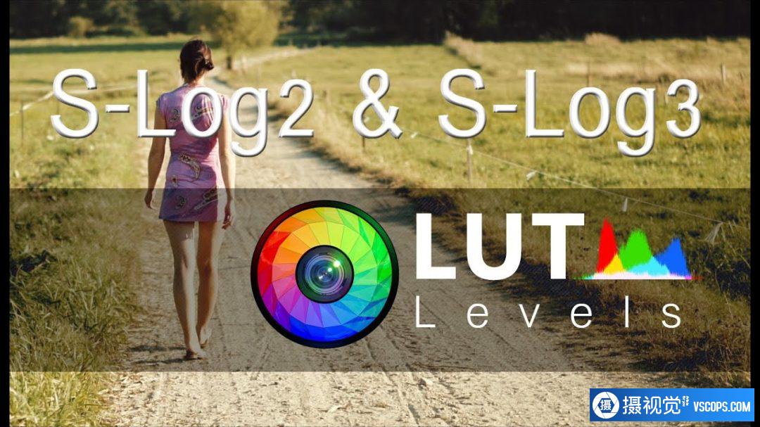 S-Log2 & S-Log3 色彩校正LUT预设 Levels LUT Video LUTs预设