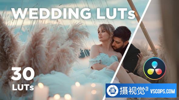 30个专业的电影婚礼大片调色LUT预设 30 WEDDING LUTs
