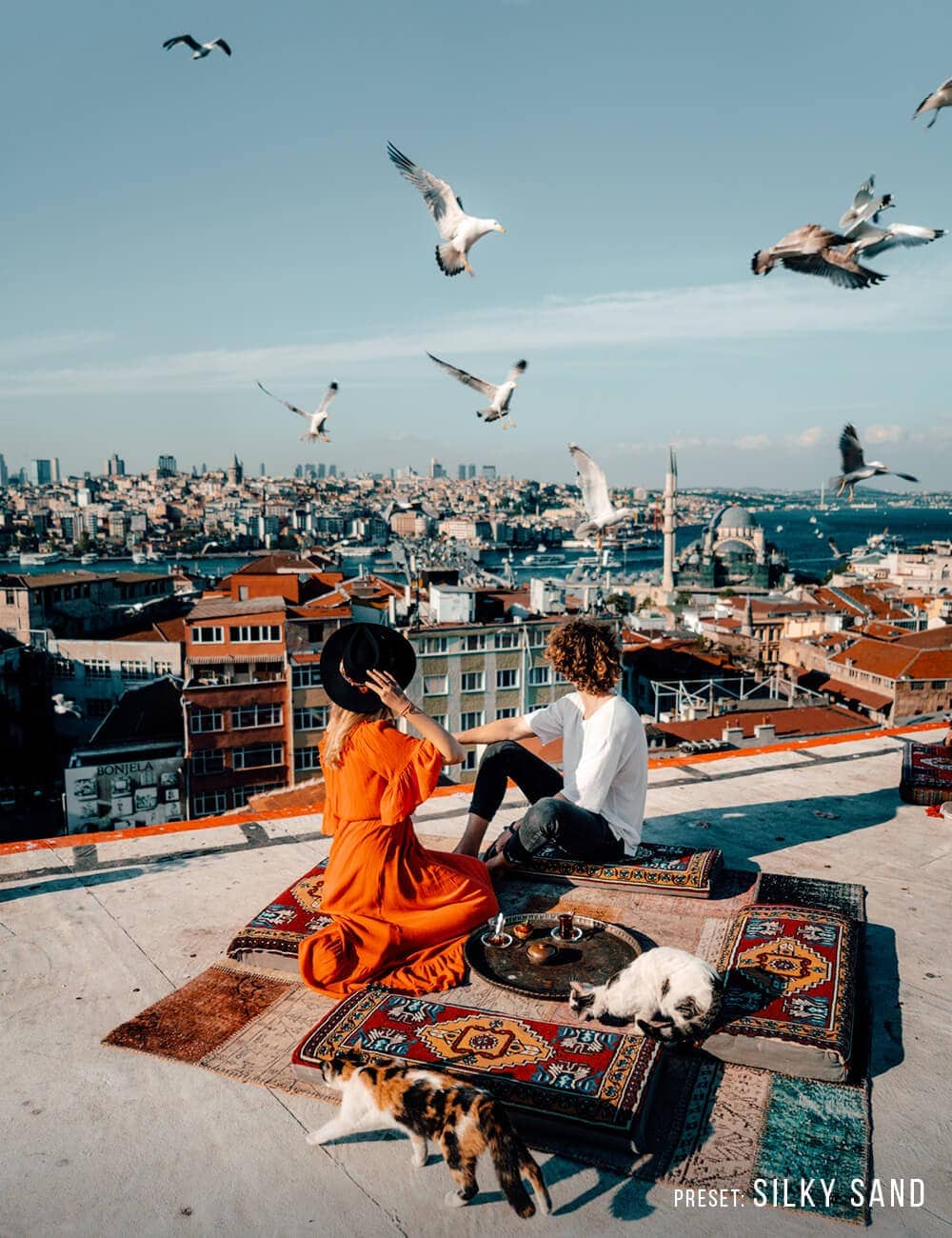 b6a542399cf501f b6a542399cf501f